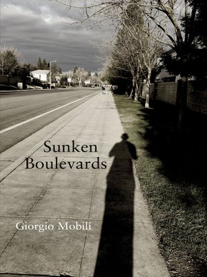cover image of Sunken Boulevards